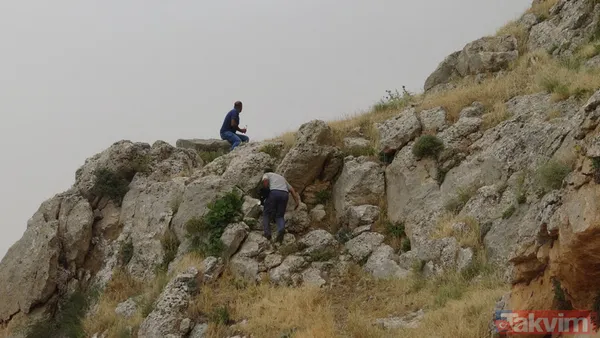 Babasından öğrendi! 150 metre yükseklikteki kayalardan topladığı balı 1000 TL'ye satıyor - 1