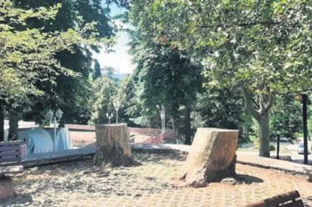 CHP'li İBB Emirgan'da ağaç kesmeye devam ediyor: Basına ‘yasak’ diyerek katliamı sürdürdüler