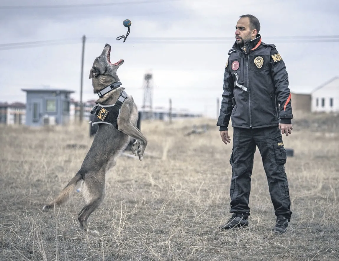 Deprem enkazından faili meçhule: Hassas burun Melo emekliliğe hazırlanıyor