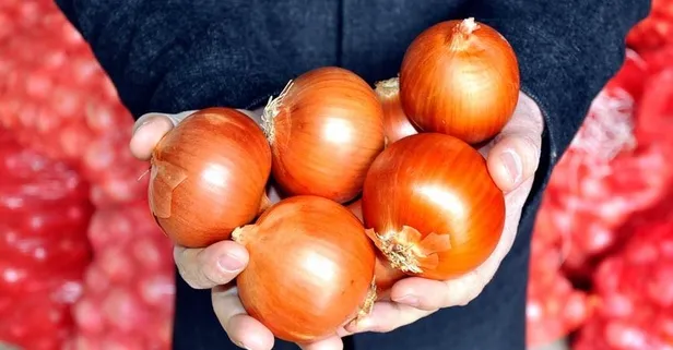 Karaciğere soğan: Vücut enfeksiyonlarını temizler