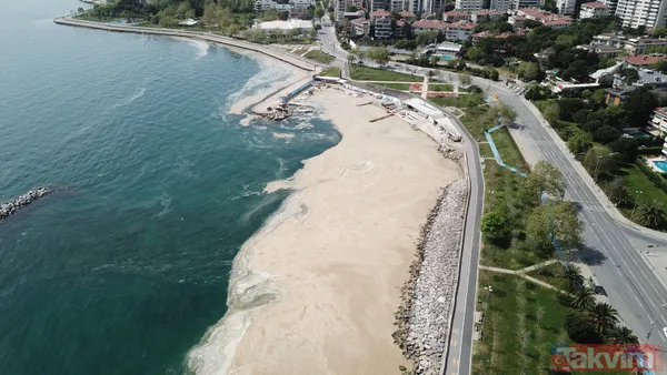 İstanbul Fenerbahçe Sahili deniz salyası kaplandı - 7