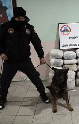Uyuşturucu baronlarına ağır darbe