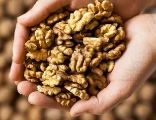 Cevizle güçlüyüz