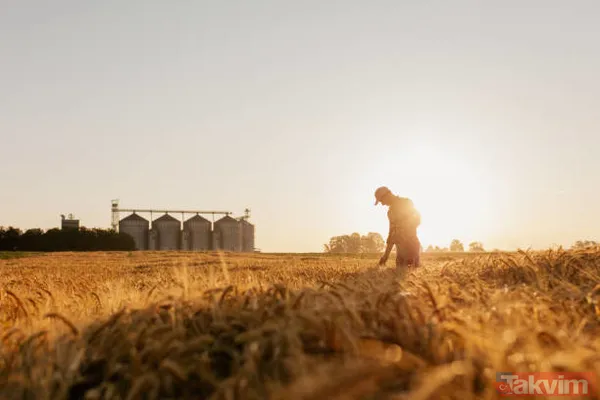 İşletme kiralayana, hayvan alacaklara, sera yapacaklara müjde! 1 milyon TL genç çiftçi kredisi! 'Köye gidip iş kurcam' diyene devletten para fışkırıyor! - 6