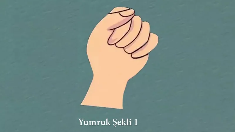 yumruk-seklin-bu-cikarsa-zeki-mi-duygusal-mi-oldugunu-direkt-cozuyor-1711524611460.jpeg