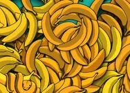 IQnuzu test eden optik illüzyon: Resimdeki muzların arasındaki gizli yılanı 5 saniyede bulabilecek misiniz?