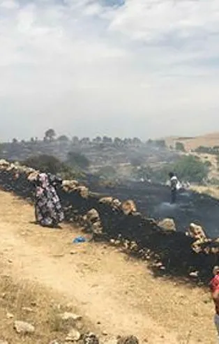 Son dakika: Batman'da 40 dönüm alanda anız yangını