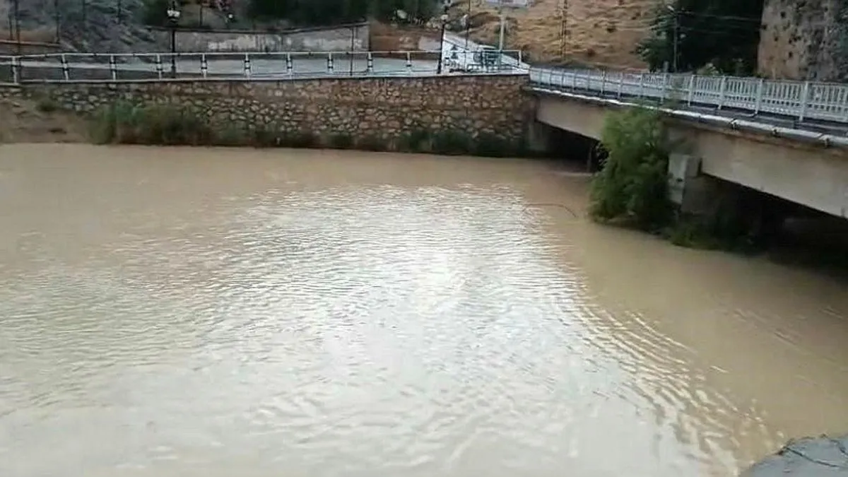 Malatya'nın Darende ilçesinde sağanak etkili oldu