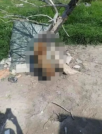 Edirne'de vahşet! Köpek, iple ağaca asılarak öldürüldü-1