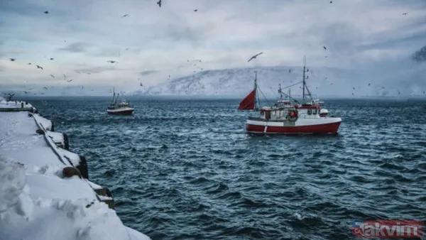 Deniz ürünü rekoru! Dünyanın en çok balık yiyen ülkesi belli oldu - 6