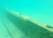 Bodrumdaki duvara ceza geldi