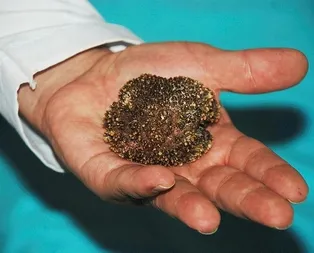 Mesanesinden çıkan şey şaşkına çevirdi