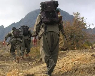 Teslim olan terörist PKK-HDP iş birliğini itiraf etti!