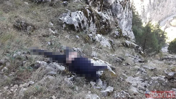 Mavi balina oyununda ölenler son dakika! Arda Yurtseven ve Alişan Soylu'da korkunç şüphe - 10