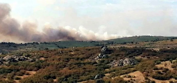 Bulgaristan sınırında yangın alarmı! Alevlerin Türkiye’ye sıçramasına 5 metre kaldı-3