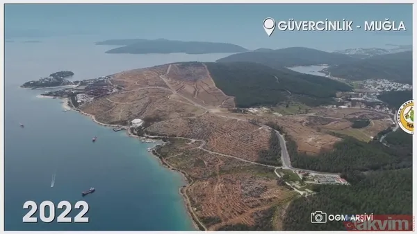 Orman Genel Müdürlüğü paylaştı! İşte yanan ormanların eski ve yeni hali: İzmir, Muğla, Çanakkale ve Balıkesir... - 6