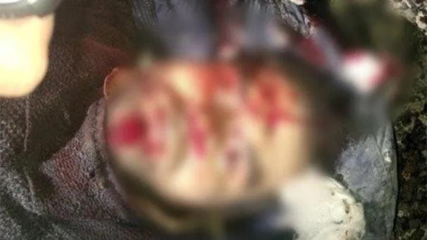 İşte PKK'yı şoka sokan operasyonun detayları-3