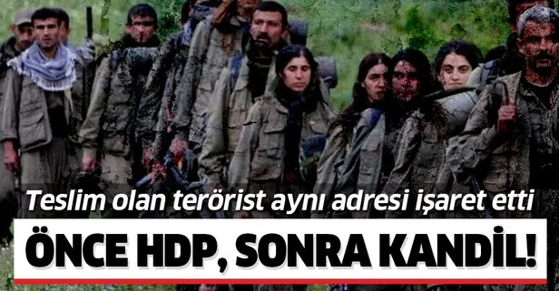 Teslim olan teröristler aynı adresi işaret etti! Önce HDP, sonra Kandil!