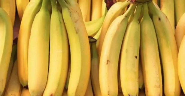 Muzlu nemlendirici | Paritik bilgiler