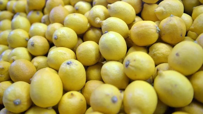muza-limon-sikip-yiyenlerin-derdine-care-oluyor-kimse-bu-faydasini-bilmiyordu-1716999549959.jpg Kimse bu faydasını bilmiyordu! Muza limon sıkıp yiyenlerin derdine çare oluyor!-2
