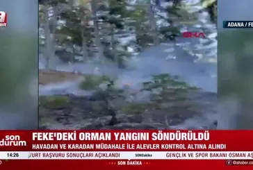 Adana Feke'de orman yangını!
