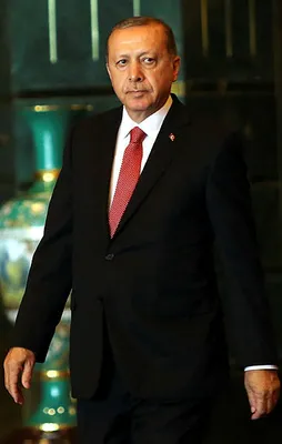 Erdoğan'dan Arakanlı Müslümanlara destek sözü