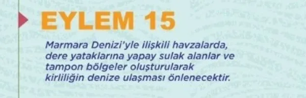 son-dakika-marmara-denizi-adeta-beton-oldu-musilaj-temizleme-seferberligine-unlu-isimler-de-katilacak-1623147667210.jpg