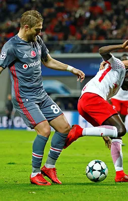 Kartal yüksek uçtu