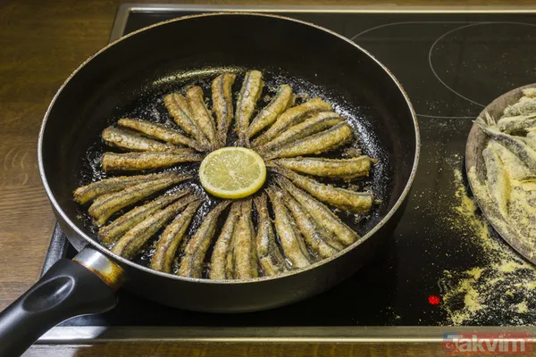 Bilim insanları açıkladı böyle masum görünüyor ama beyni yiyip bitiriyor! Beyni günbegün tüketiyor meğer... - 10