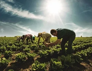 Çiftçilere büyük müjde!