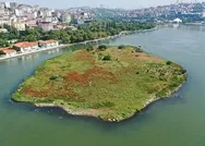 CHPli İBBnin Haliç yalanı: Suyu siyaha büründü, kıyı kesimlerinde çöpler birikti