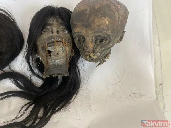 'Tsantsa' olarak bilinen insan kafaları ülkelere iade edilecek - 1