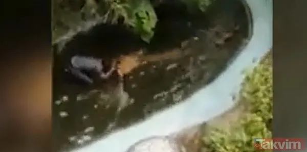 Timsahla ölümcül selfie! Fotoğraf çekmek için suya girdiği anda talihsiz adam... - 3