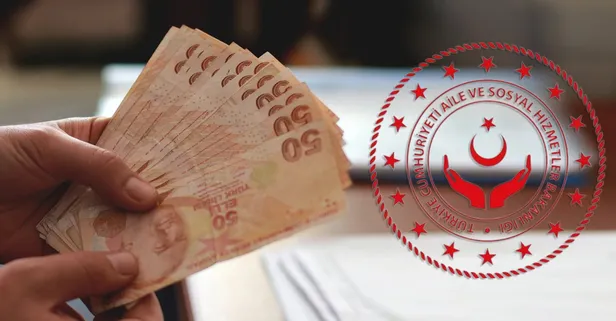 4 şartı var: Aile ve Sosyal Hizmetler Bakanlığı ödemelere başladı! O kişilere ayda 4.400 TL maaş bağlanıyor