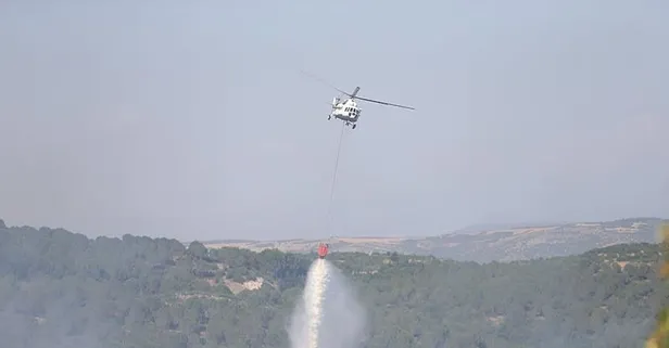 Balıkesir'de orman yangını: Kontrol altına alındı!