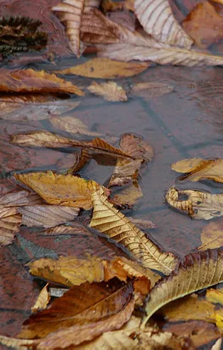 Rüyada cinayet görmek ne anlama gelir?