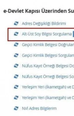 Soyağacı sorgulama durduruldu mu?