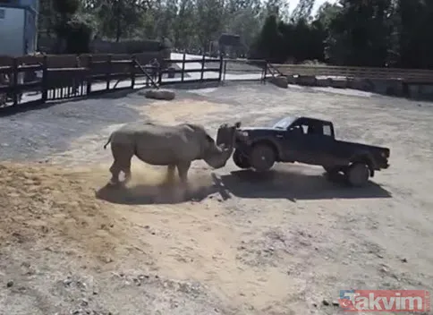 Sadece fotoğraf çektirmek istedi genç kız hayatının şokunu yaşadı! Bir anda üzerine atladı ne var yok... - 18