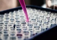 Sağlık Bakanlığı düğmeye bastı! 15 Ekimde yeni bağışıklık haritası