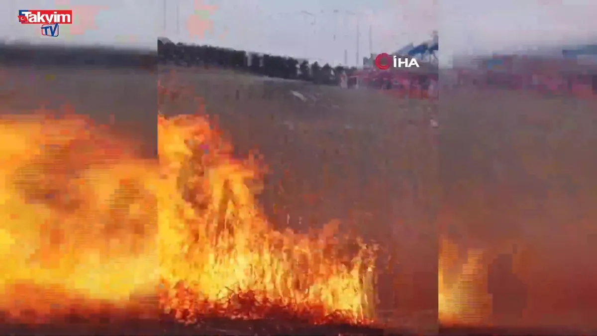 'Kuş Cenneti' deltasında yangın!