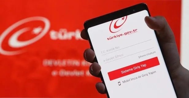 2020'de e-Devlet'ten ehliyet kimlik kartı ve pasaport randevusu için milyonlarca başvuru