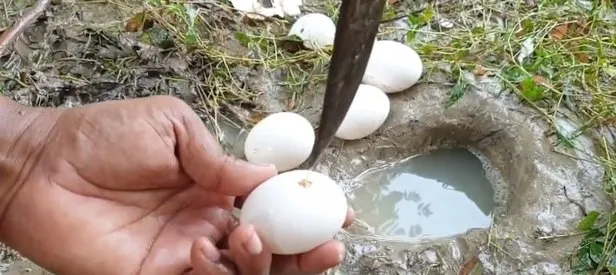 Youtube fenomeni yumurta ile balık avladı! Böyle yöntem görülmedi...