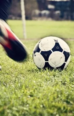 Süper Lig'in en iyileri belirlendi