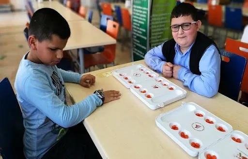 aile-calisma-ve-sosyal-hizmetler-bakanligindan-engellilere-hayatin-her-alaninda-tam-destek-1606723926431.jpg Aile, Çalışma ve Sosyal Hizmetler Bakanlığından engellilere hayatın her alanında tam destek!-2