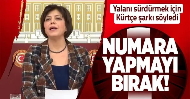 HDP’den ’kürtçe yasaklandı’ provokasyonu! Meral Danış Beştaş TBMM’de yalanı sürdürdü...