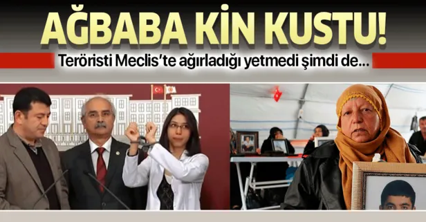 CHP’li Veli Ağbaba Diyarbakır annesine kin kustu!