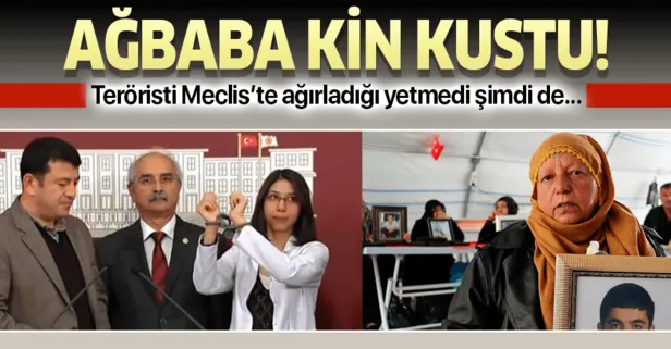 CHP'li Veli Ağbaba Diyarbakır annesine kin kustu!