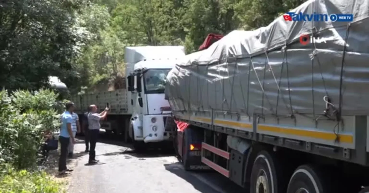 Tunceli'de iki TIR kafa kafaya çarpıştı