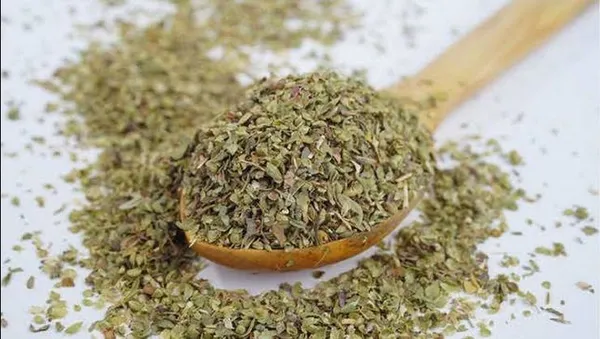 Aloe vera sivilceye veda (Sağlık haberleri)-4