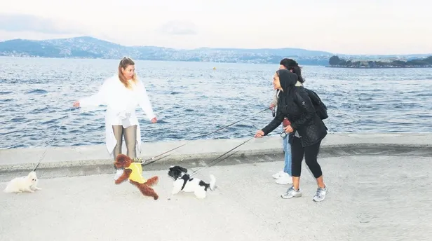 unlu-sanatci-hulya-avsarin-kopegi-gullu-ortaligi-birbirine-katti-1572124359523.jpeg Hülya Avşar'ın köpeği Güllü ortalığı birbirine kattı! - 1